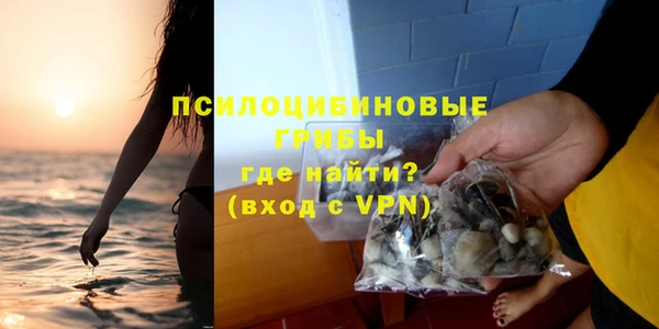 прущий лед Гусев