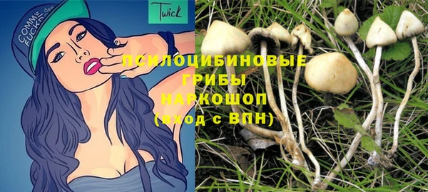 mdpv Гусь-Хрустальный