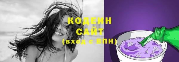 прущий лед Гусев