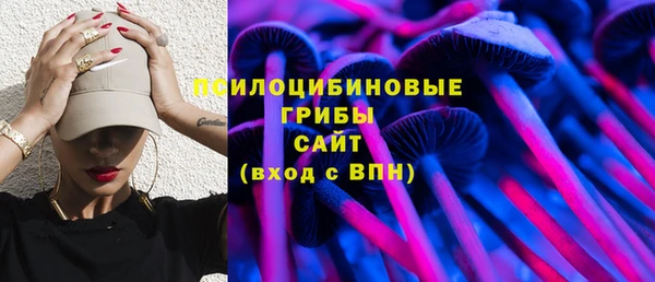 прущий лед Гусев